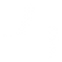 PPF_16 copia 2
